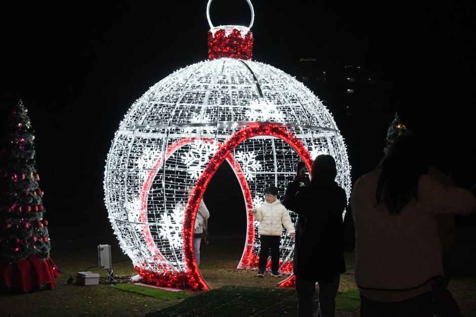 함평 겨울빛축제 포스터 · 광주 축제