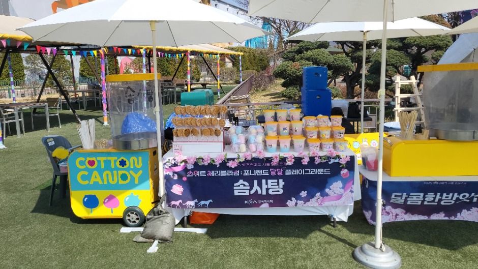 2025 말마랑 HAPPY 패밀리 데이 축제 3