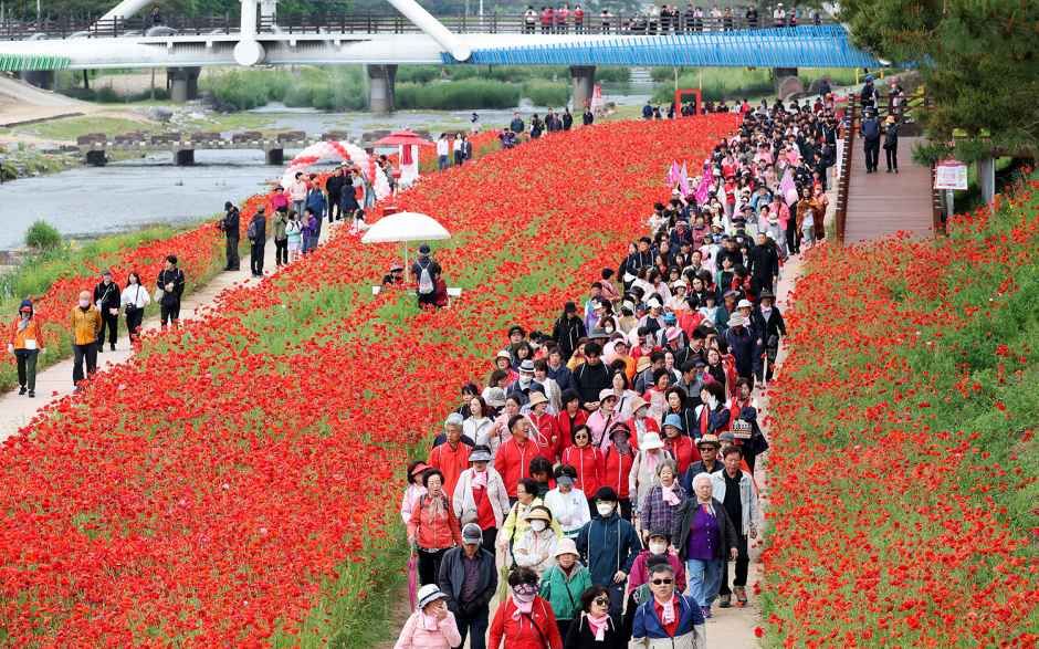 2026 괴산빨간맛페스티벌 (1).jpg