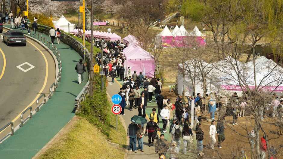 2026 양재천 벚꽃 등(燈) 축제 (3).jpg