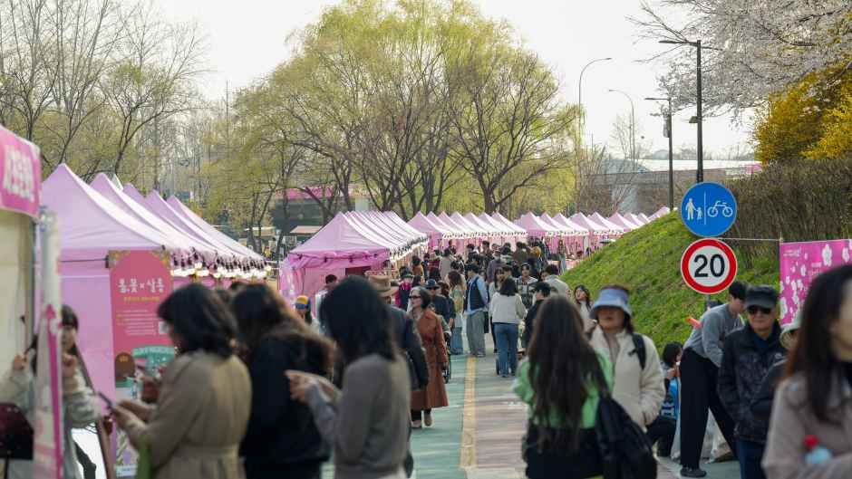 2026 양재천 벚꽃 등(燈) 축제 (2).jpg