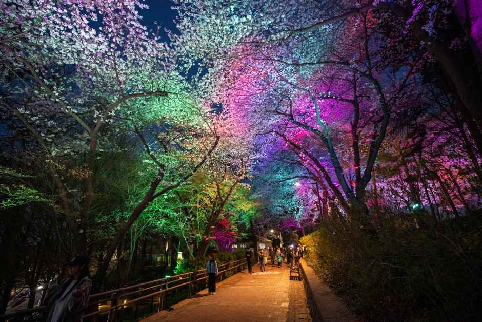 2026 자유공원 벚꽃축제 (4).jpg