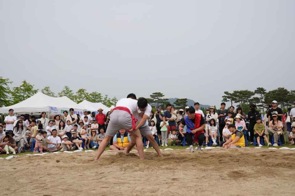 세종단오제 참고 이미지 2