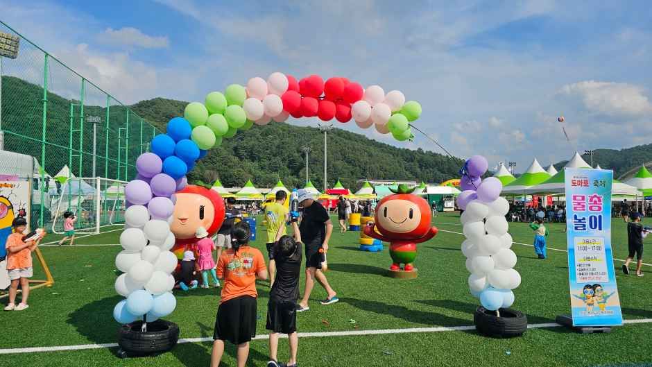 둔내고랭지토마토축제 참고 이미지 1