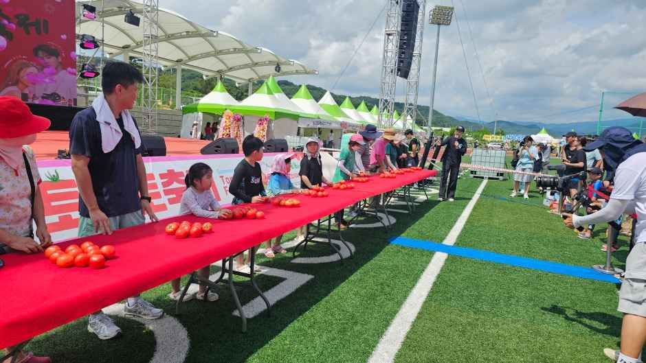 2026 둔내고랭지토마토축제 (1).jpg