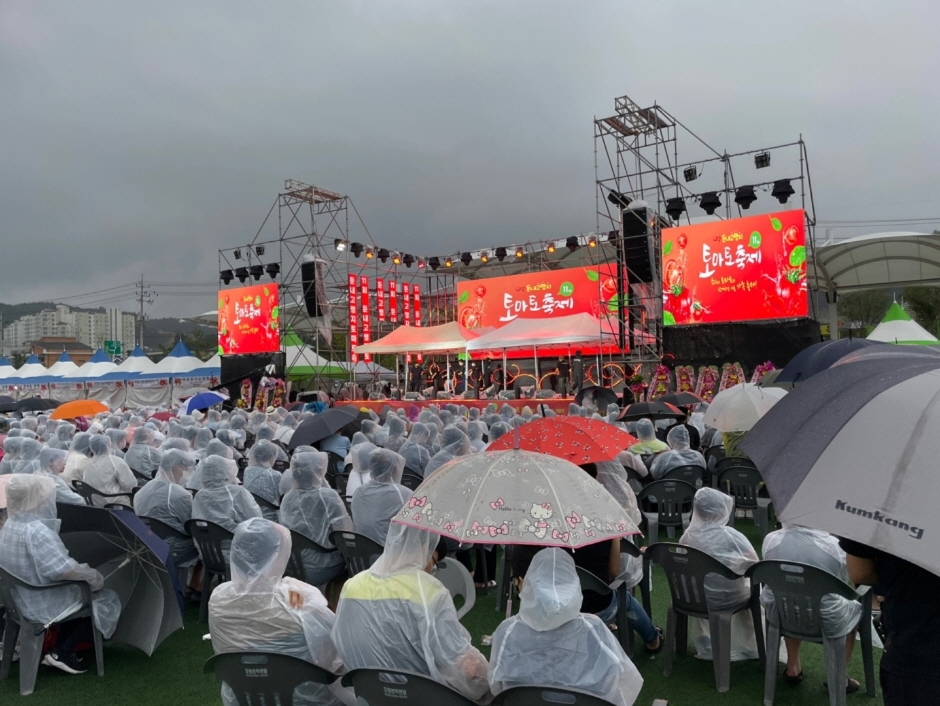 둔내고랭지토마토축제_1