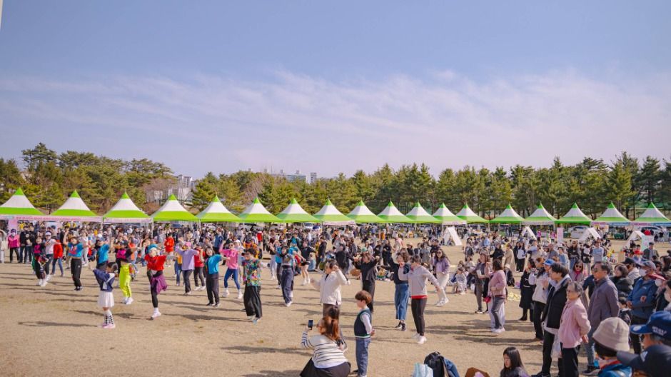 2025 영랑호 벚꽃축제 10