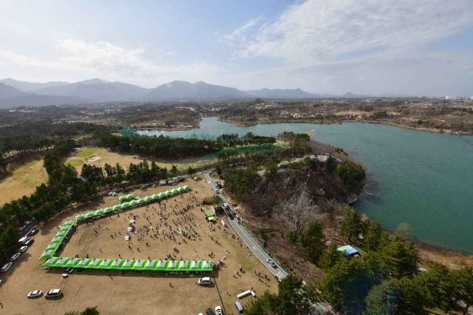 2026 영랑호 벚꽃축제 (4).jpg