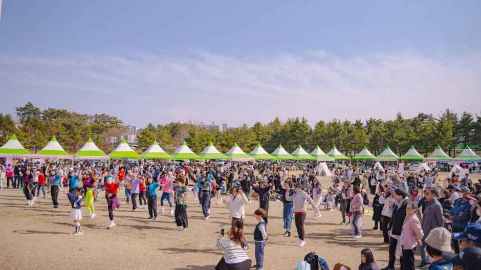 2026 영랑호 벚꽃축제 (1).jpg