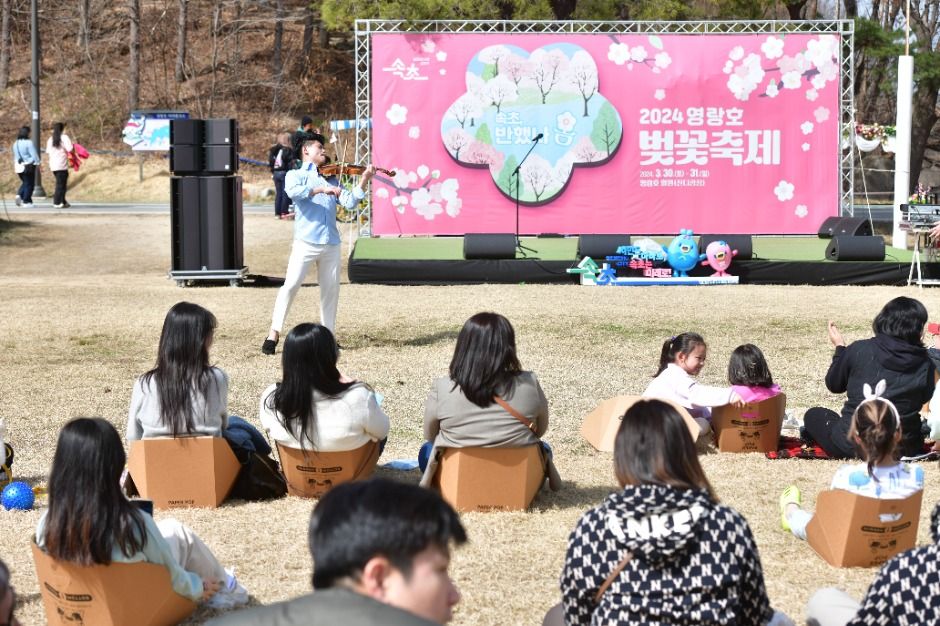 2025 영랑호 벚꽃축제 3
