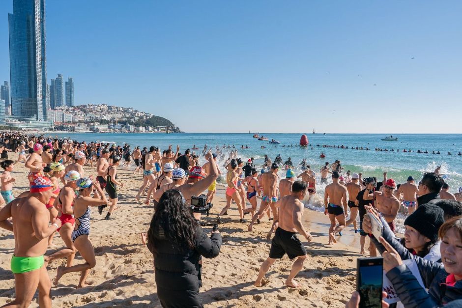 Haeundae Polar Bear Festival