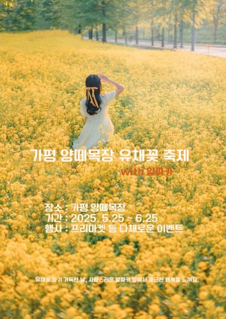 2025 가평 양떼목장 유채꽃축제 포스터