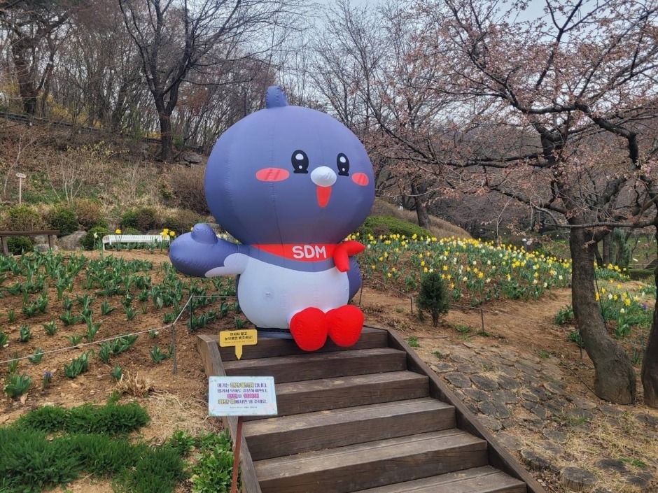 2025 서대문 봄빛축제 13