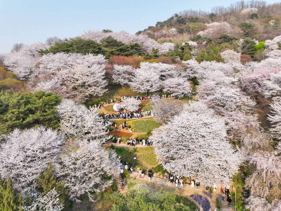 서대문 봄빛축제 참고 이미지 3
