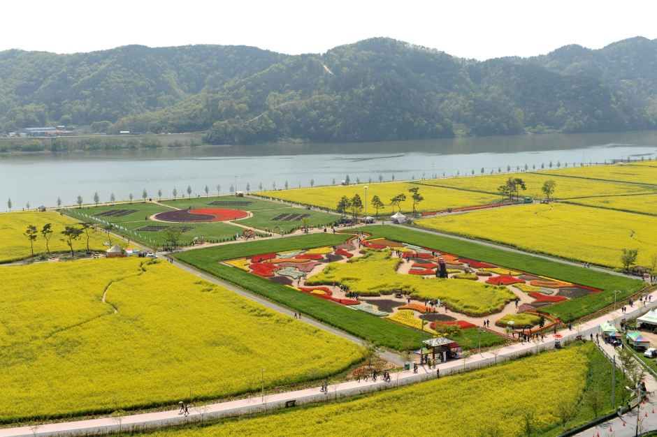 2026 창녕낙동강유채축제 (2).jpg