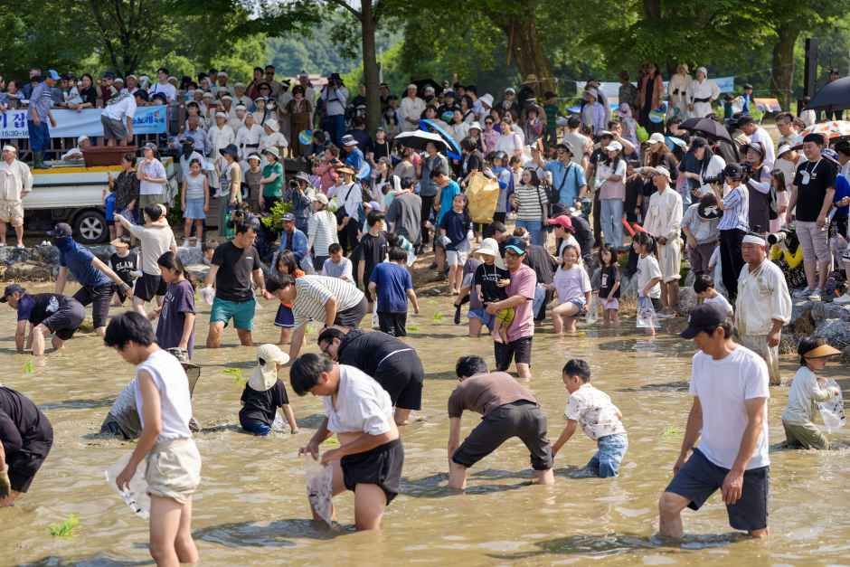 2026 증평장뜰들노래축제 (3).jpg