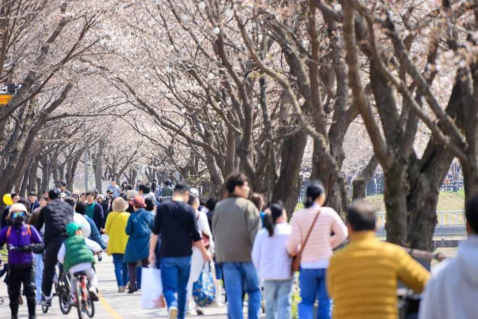 2026 양평 갈산누리봄축제 (3).jpg