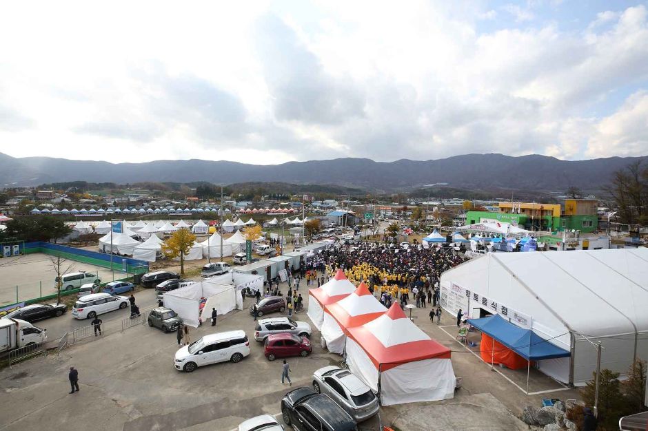 2024 청춘양구 펀치볼 시래기 사과축제 3