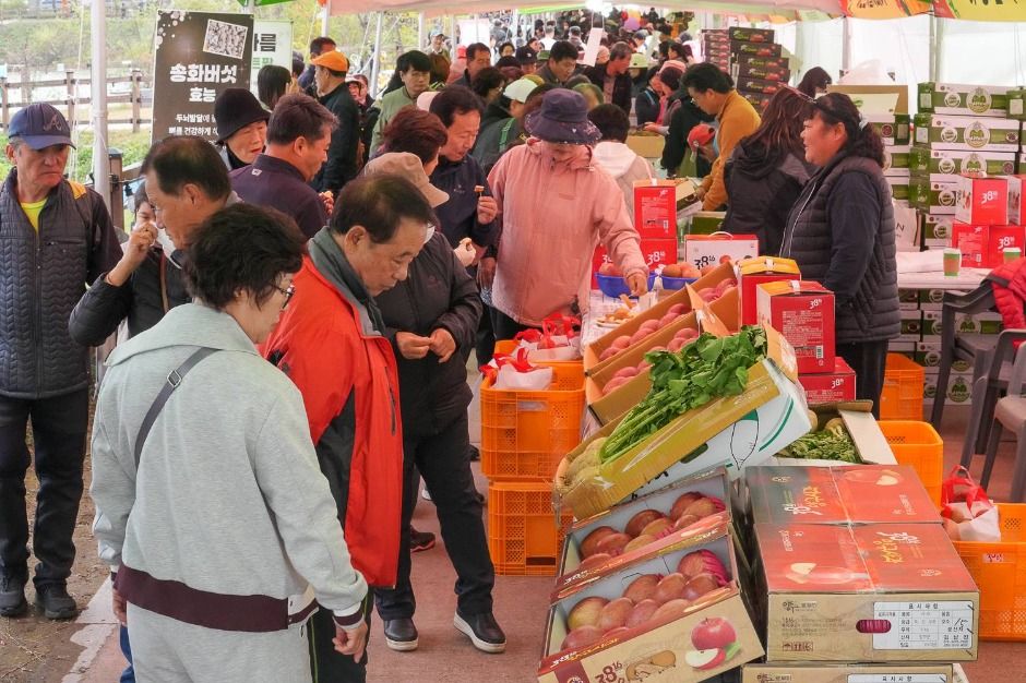 2025 청춘양구 펀치볼 시래기사과축제 6