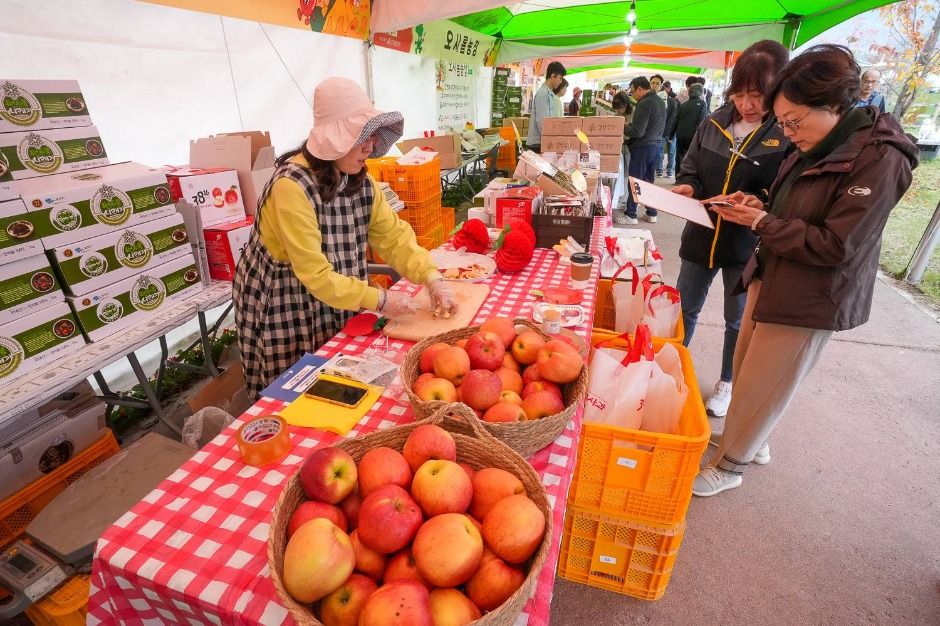 2025 청춘양구 펀치볼 시래기사과축제 9