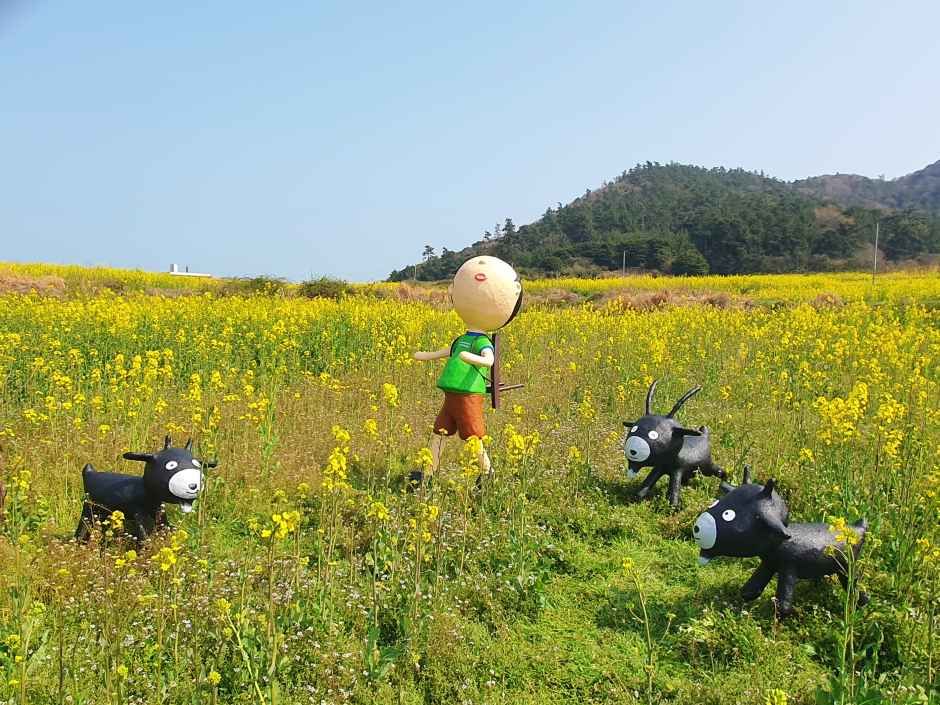 2026 보배섬 유채꽃 축제 (4).jpg