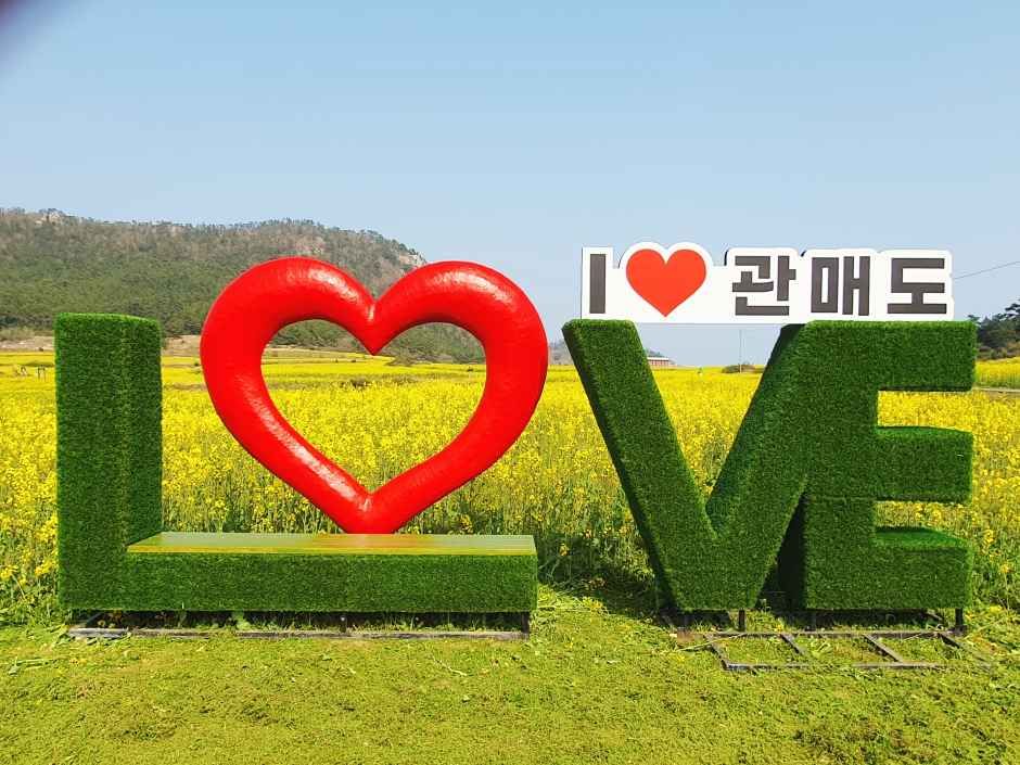 2026 보배섬 유채꽃 축제 (7).jpg