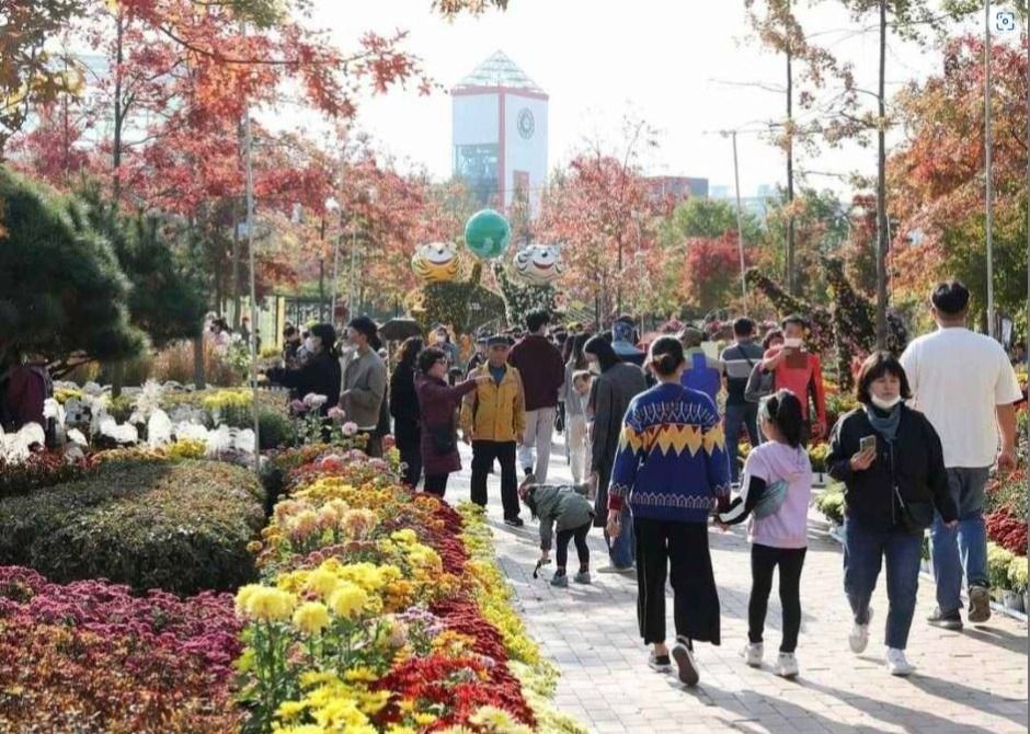 유성국화축제 포스터 · 대전 축제