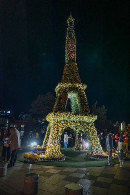2025 유성국화축제 3