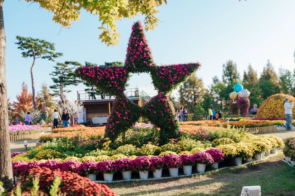 2025 유성국화축제 8