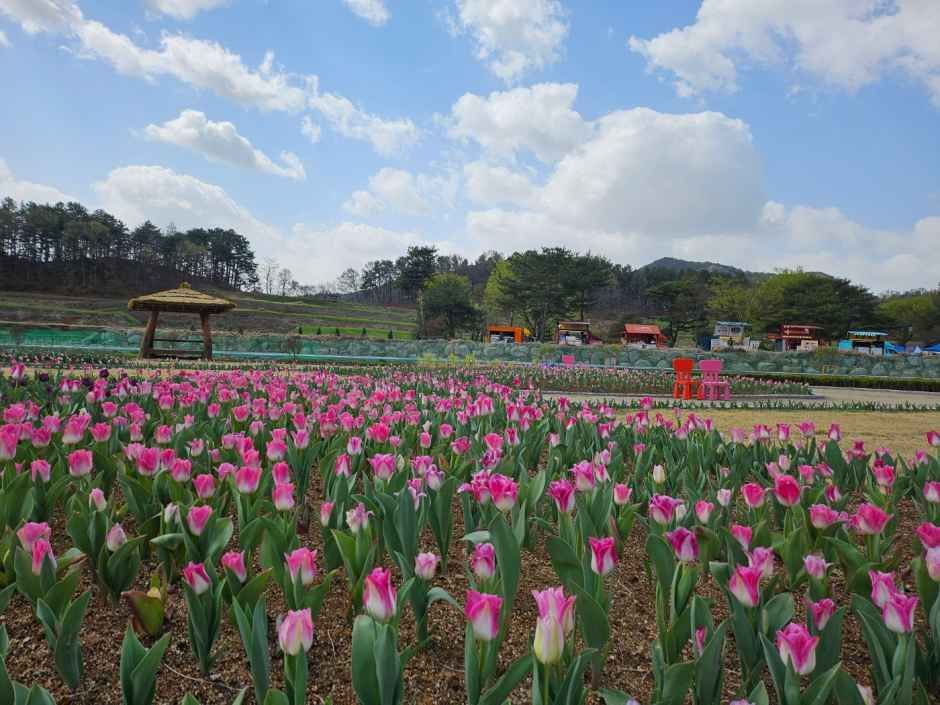 2026 회룡포 봄나들이 축제 (2).jpg