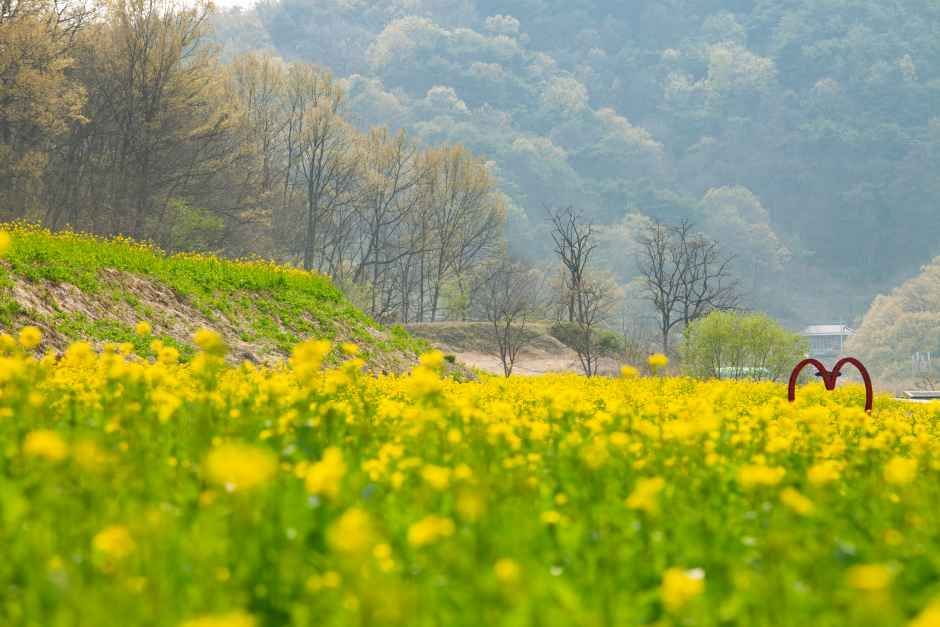 2026 회룡포 봄나들이 축제 (7).jpg
