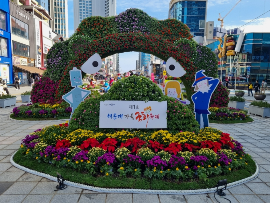 해운대 가을 국화 축제 5