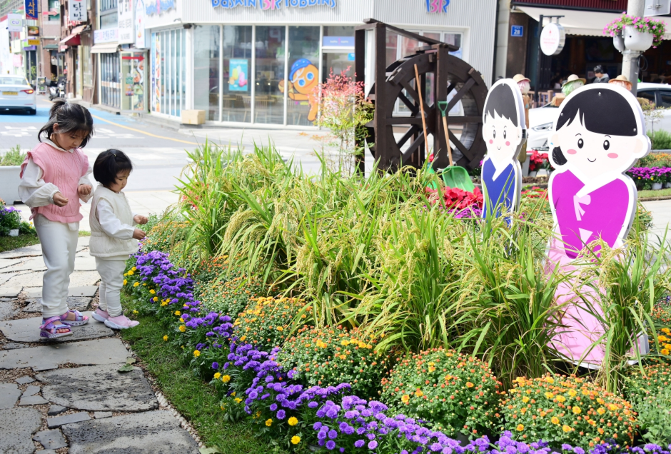 해운대 가을 국화 축제 2