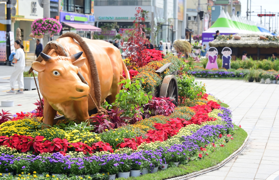 해운대 가을 국화 축제 4