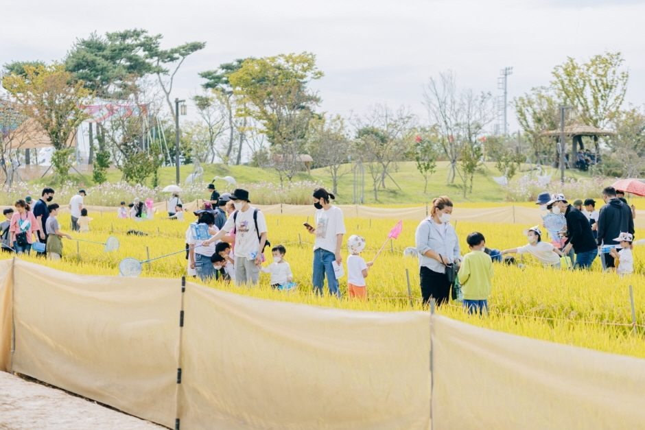 김제지평선축제  (1)