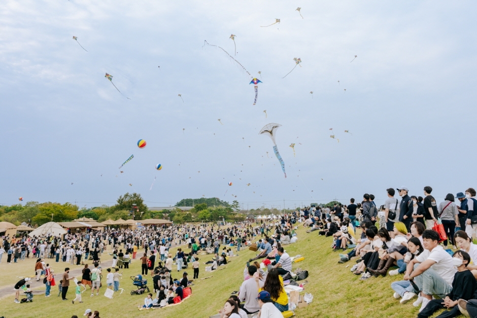 김제지평선축제  (6)