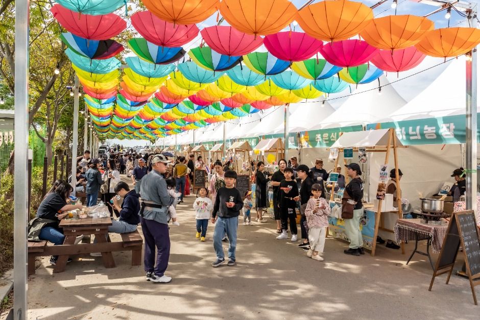 2025 김제지평선축제 1