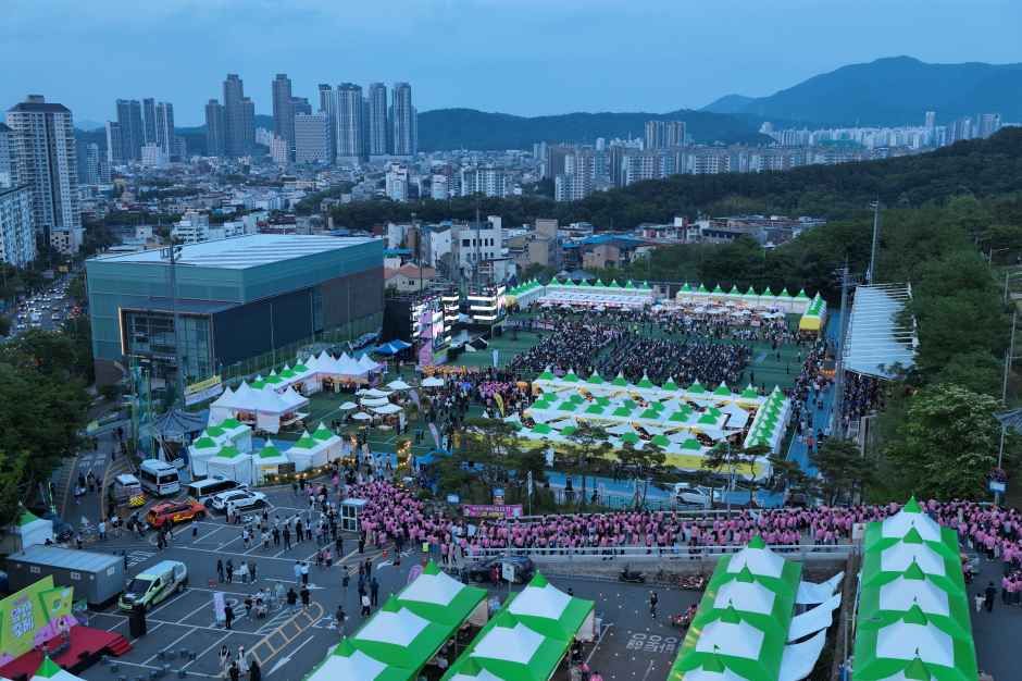 대구앞산축제 포스터 · 대구 축제