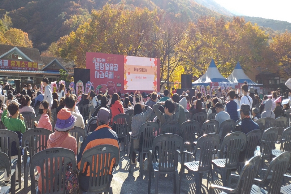 밀양얼음골사과축제 2