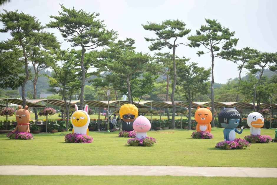 무안 연꽃축제 연꽃 사진
