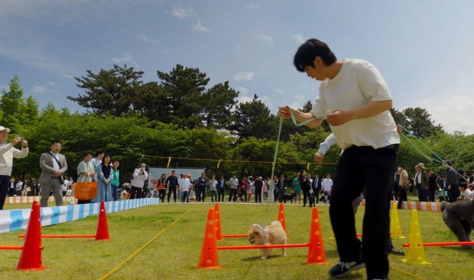 제주 반려동물 문화산업 한마당 참고 이미지 1