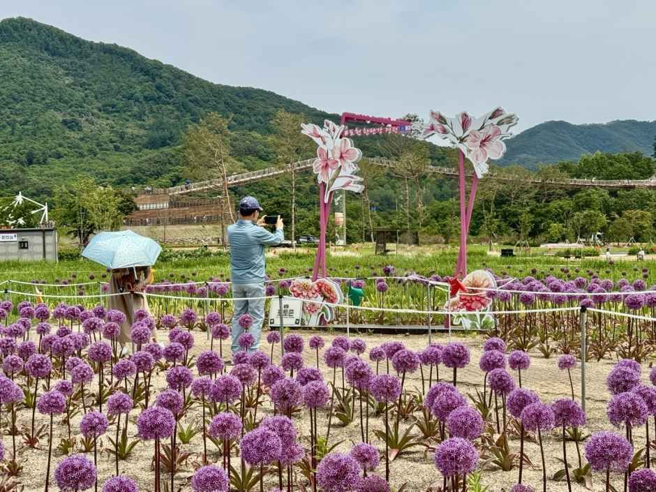 2026 포천 한탄강 가든페스타 (3).jpg