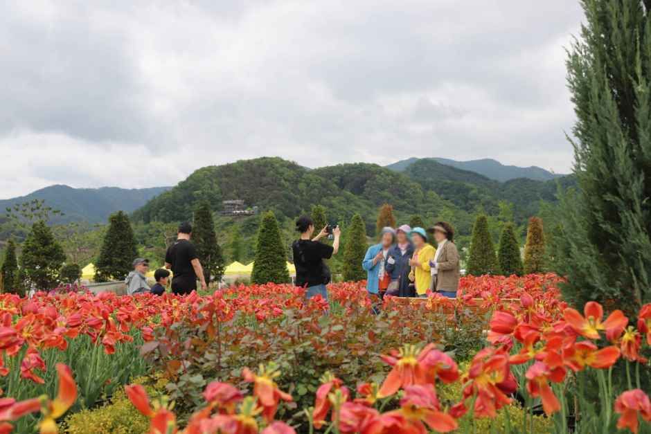 2026 포천 한탄강 가든페스타 (8).jpg