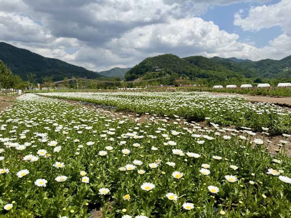 꽃정원 사이를 산책하는 방문객과 축제 현장 분위기