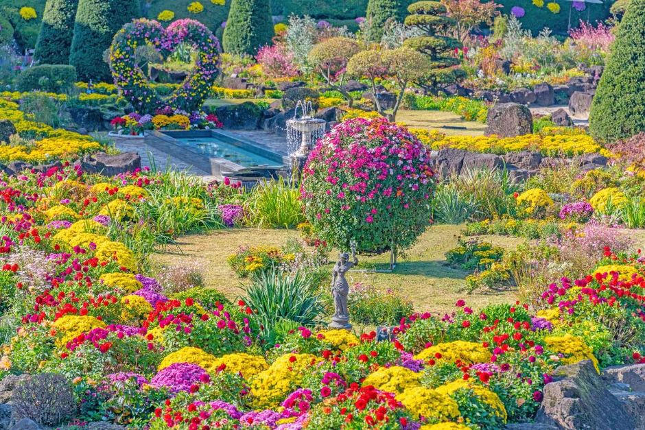 Byeokchoji Botanical Garden Autumn Flower Chrysanthemum Festival