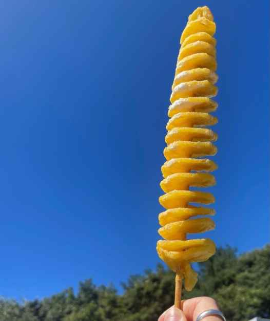 회오리감자