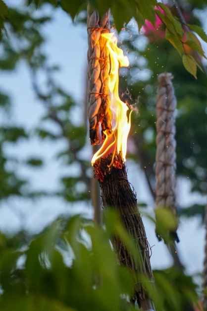 2026 세종낙화축제 (1).jpeg