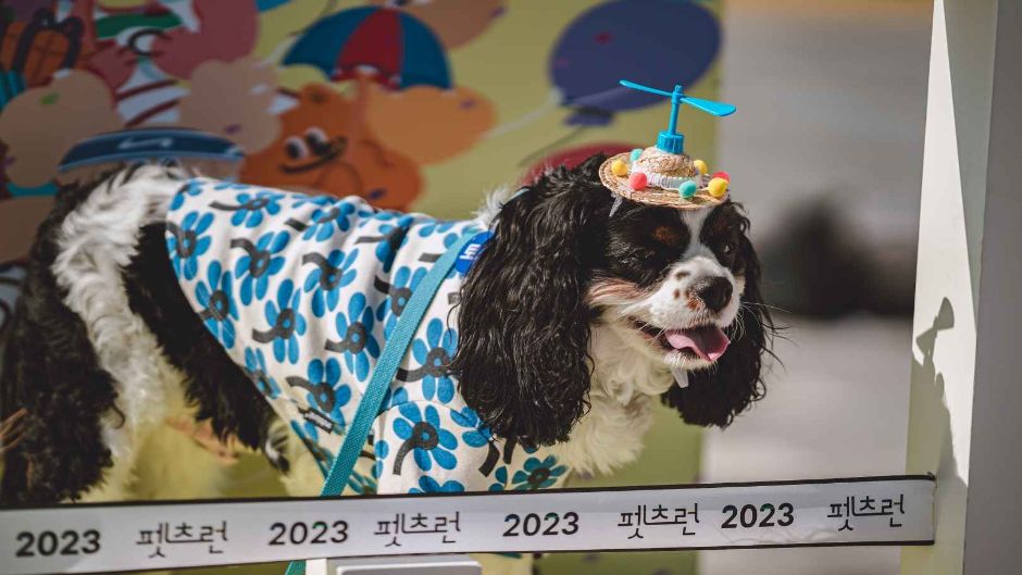 2024 펫츠런 9