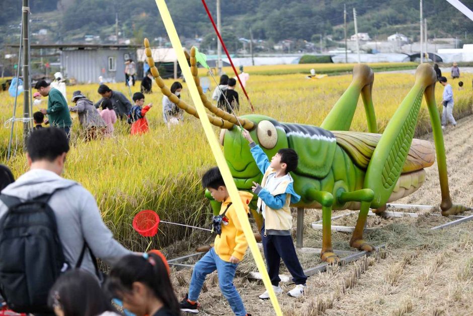 2024 성주가야산황금들녘메뚜기축제 1