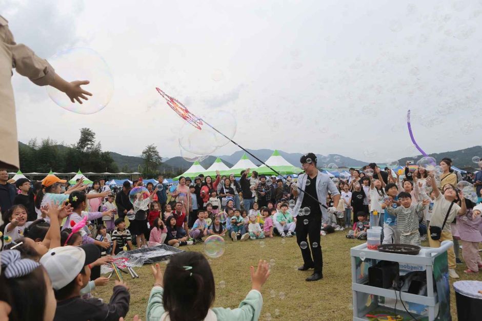 2024 성주가야산황금들녘메뚜기축제 2